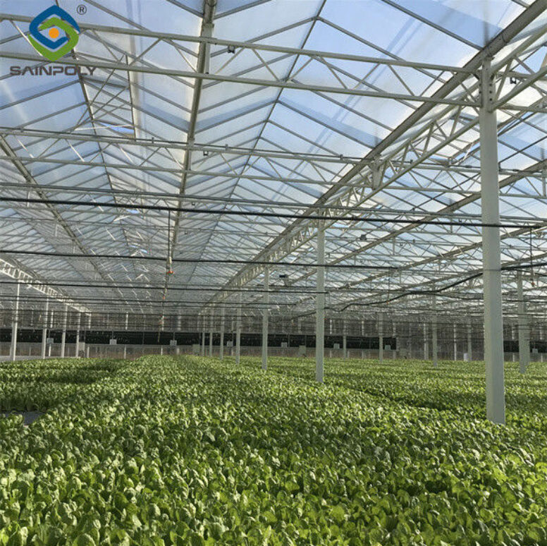 Hydroponic Lettuce Greenhouse Tunnel Green House Customized