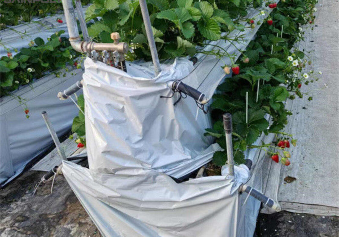 Hydroponic Strawberry Greenhouse With Planting Systems Easily Assembled