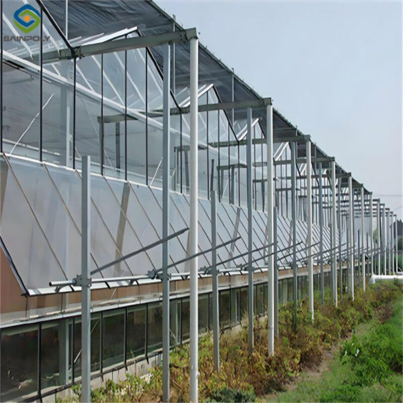 Hydroponic Venlo PC Polycarbonate Solar Glass Greenhouse Customizable