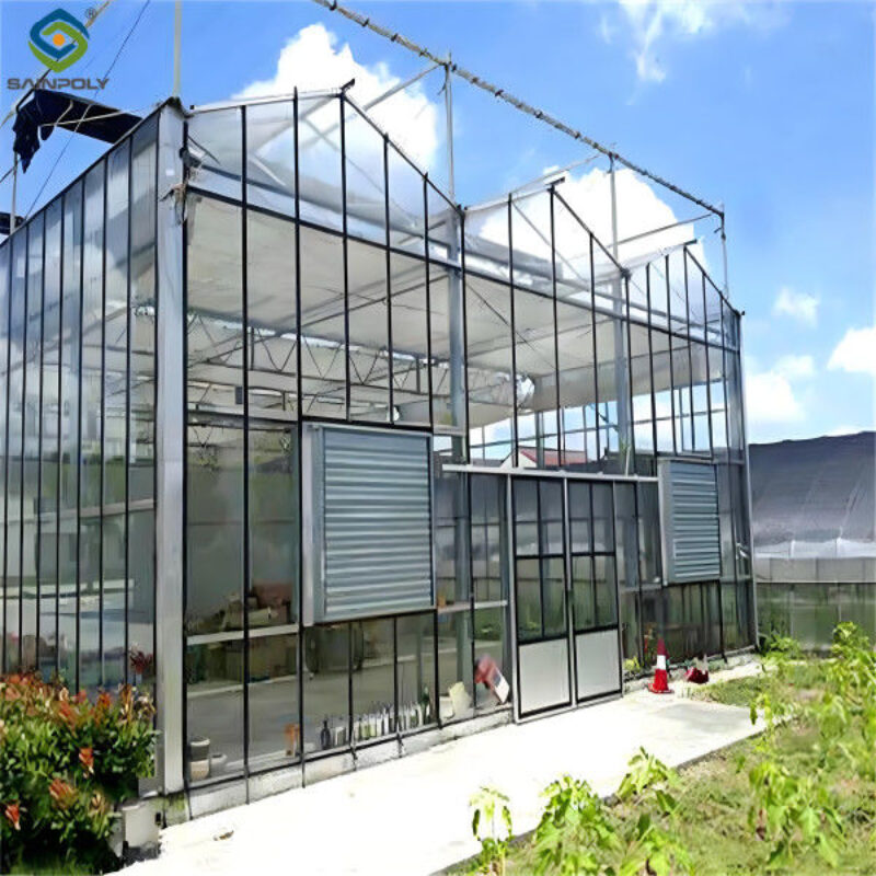 Hydroponic Venlo PC Polycarbonate Solar Glass Greenhouse Customizable