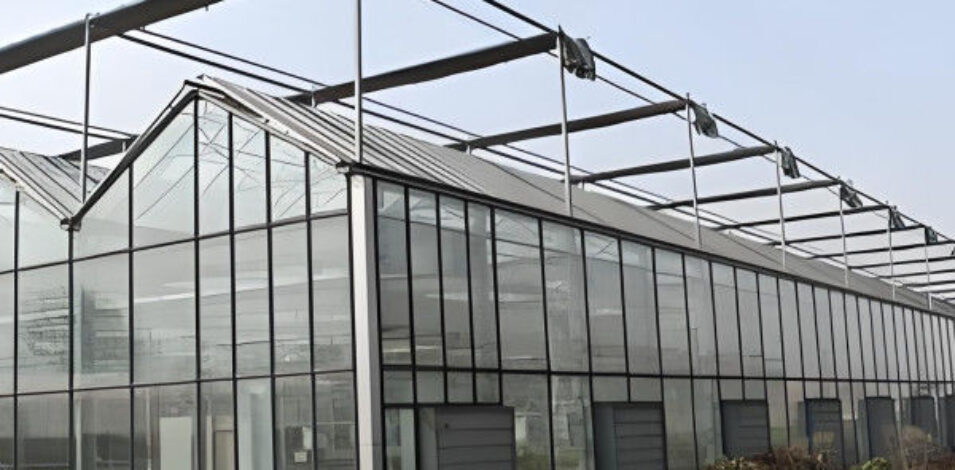 Hydroponic Venlo PC Polycarbonate Solar Glass Greenhouse Customizable