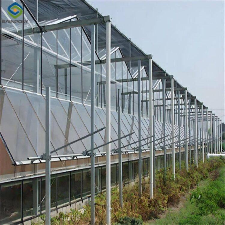 Hydroponic Venlo PC Polycarbonate Solar Glass Greenhouse Customizable