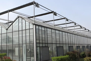 Hydroponic Venlo PC Polycarbonate Solar Glass Greenhouse Customizable