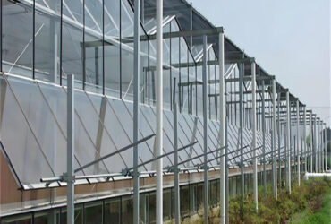 Hydroponic Venlo PC Polycarbonate Solar Glass Greenhouse Customizable
