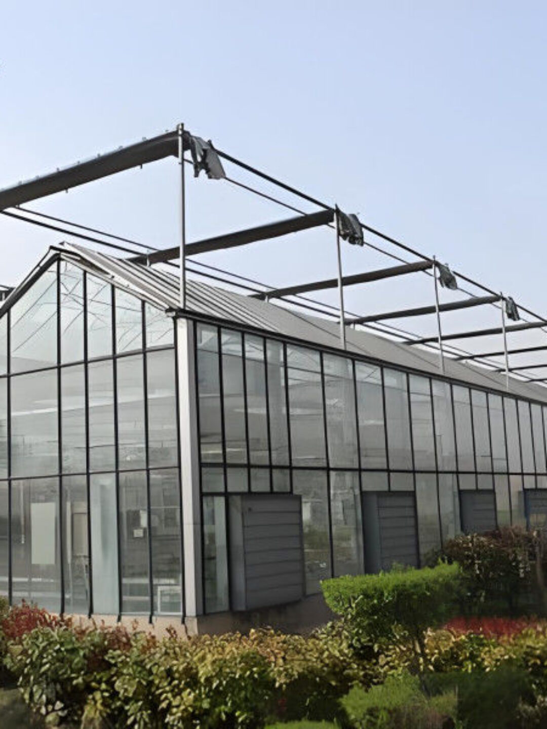 Hydroponic Venlo PC Polycarbonate Solar Glass Greenhouse Customizable