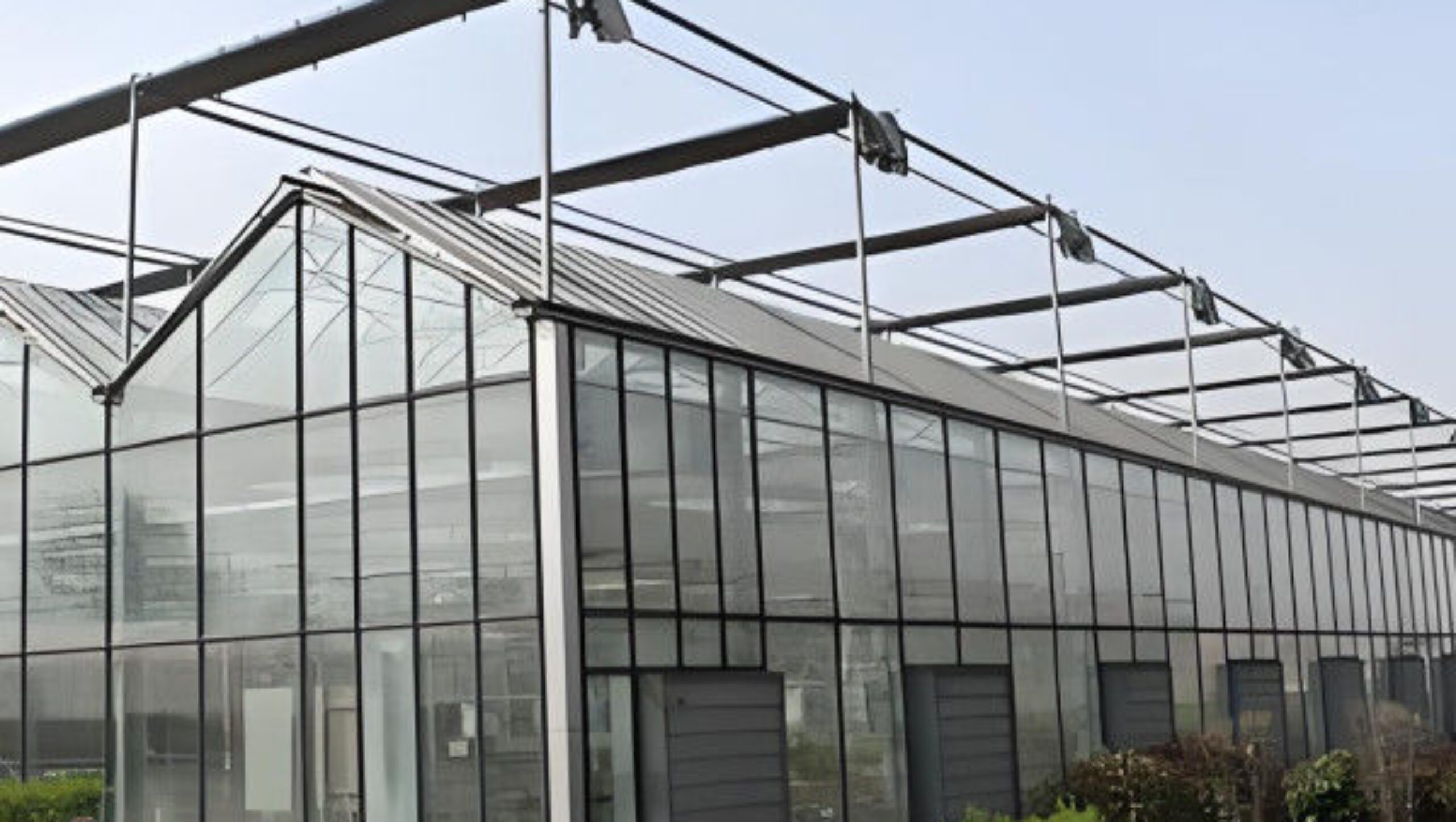 Hydroponic Venlo PC Polycarbonate Solar Glass Greenhouse Customizable