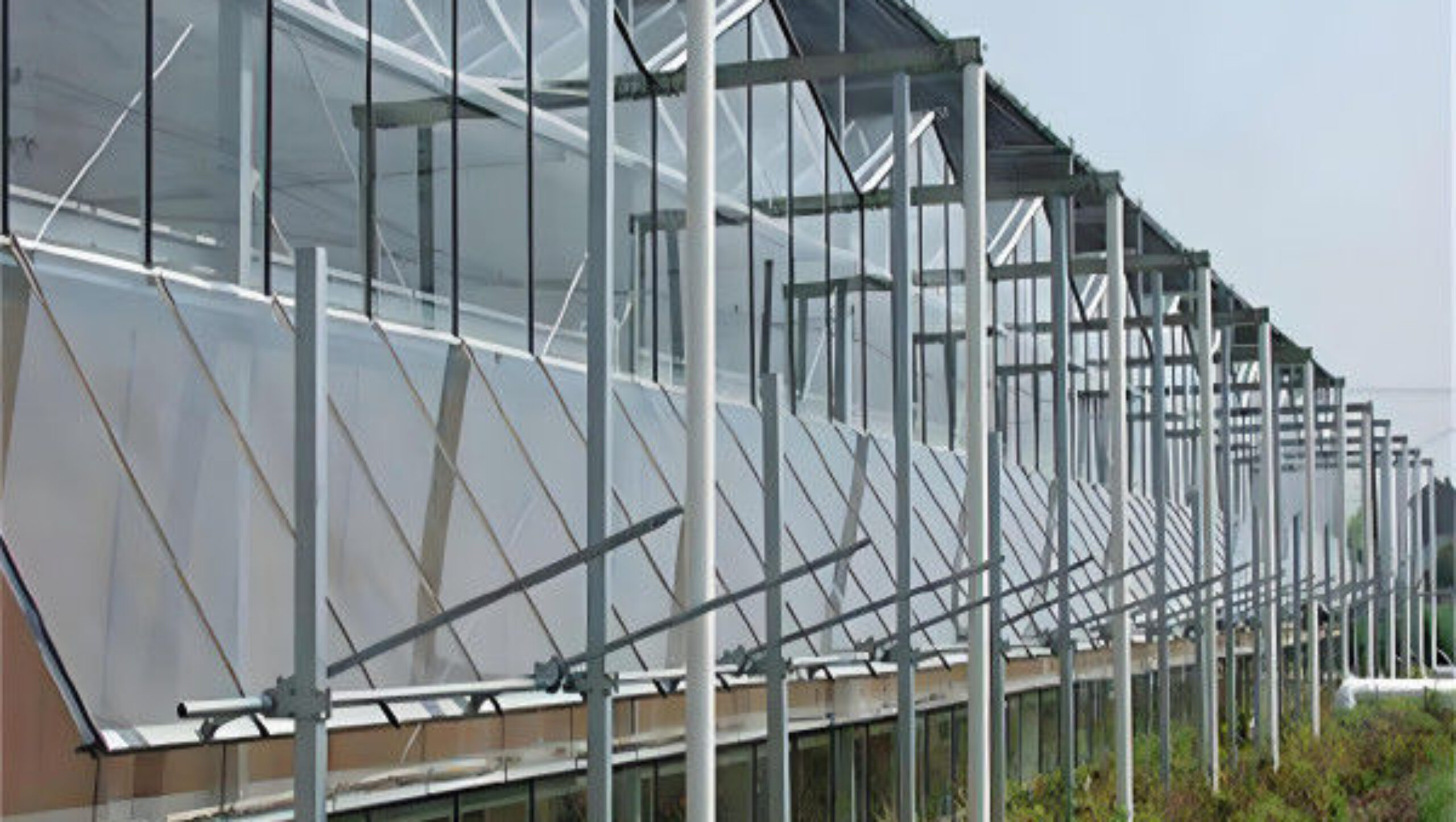 Hydroponic Venlo PC Polycarbonate Solar Glass Greenhouse Customizable