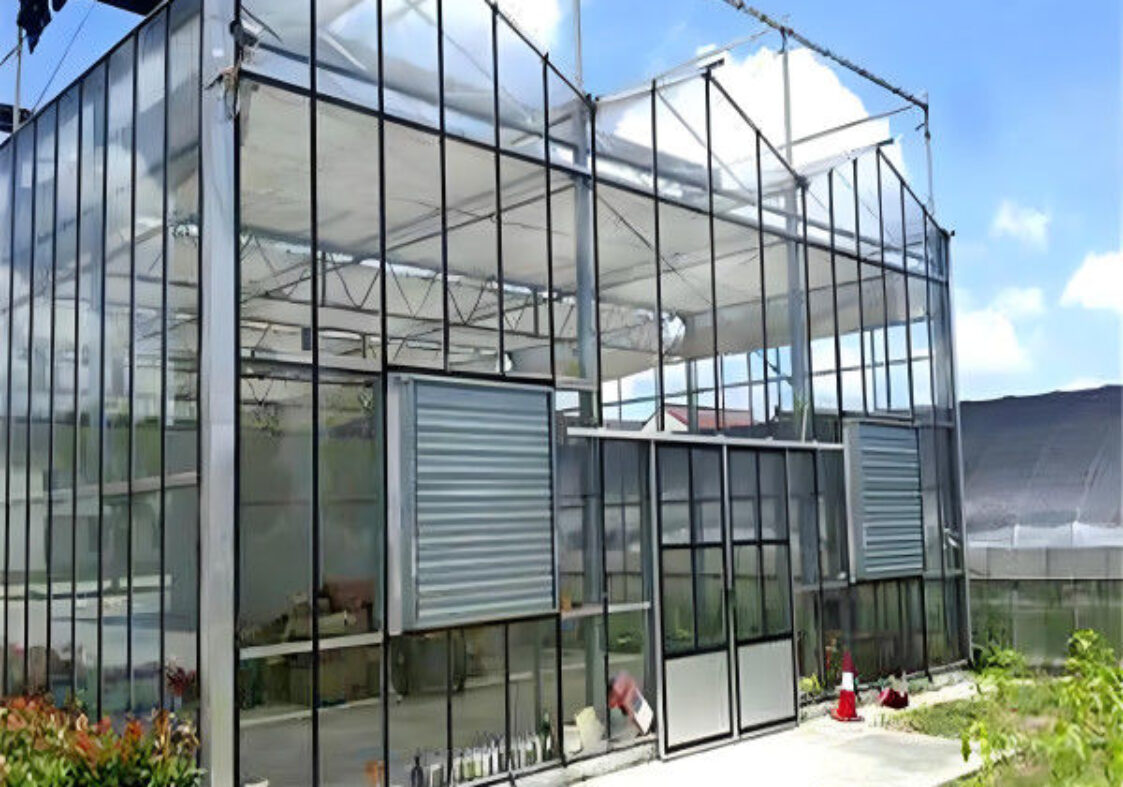 Hydroponic Venlo PC Polycarbonate Solar Glass Greenhouse Customizable