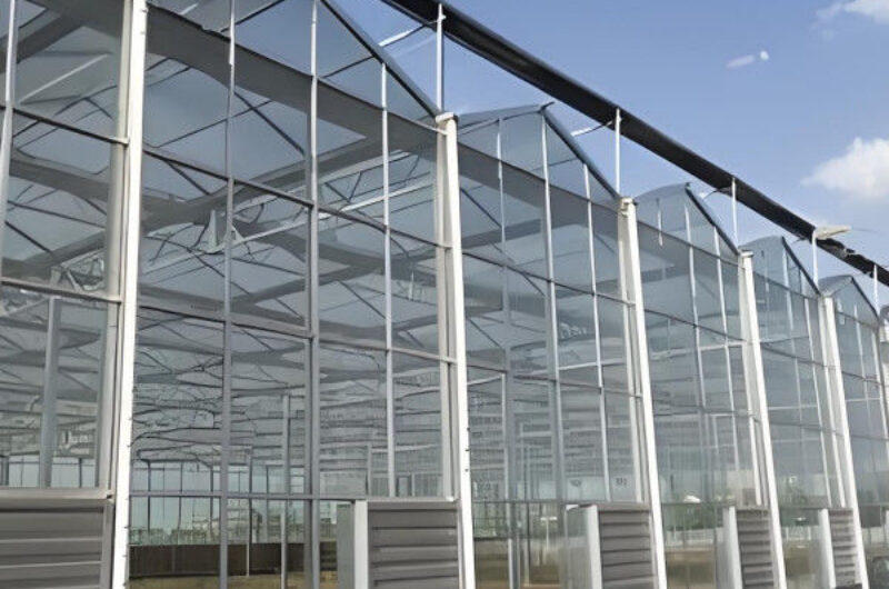 Hydroponic Venlo PC Polycarbonate Solar Glass Greenhouse Customizable