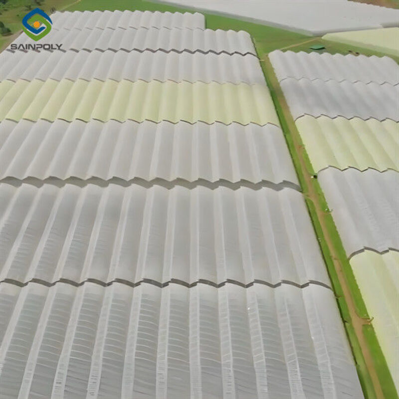 Indoor Multi Span Plastic Film Gothic Arch Greenhouse With PC Sheet