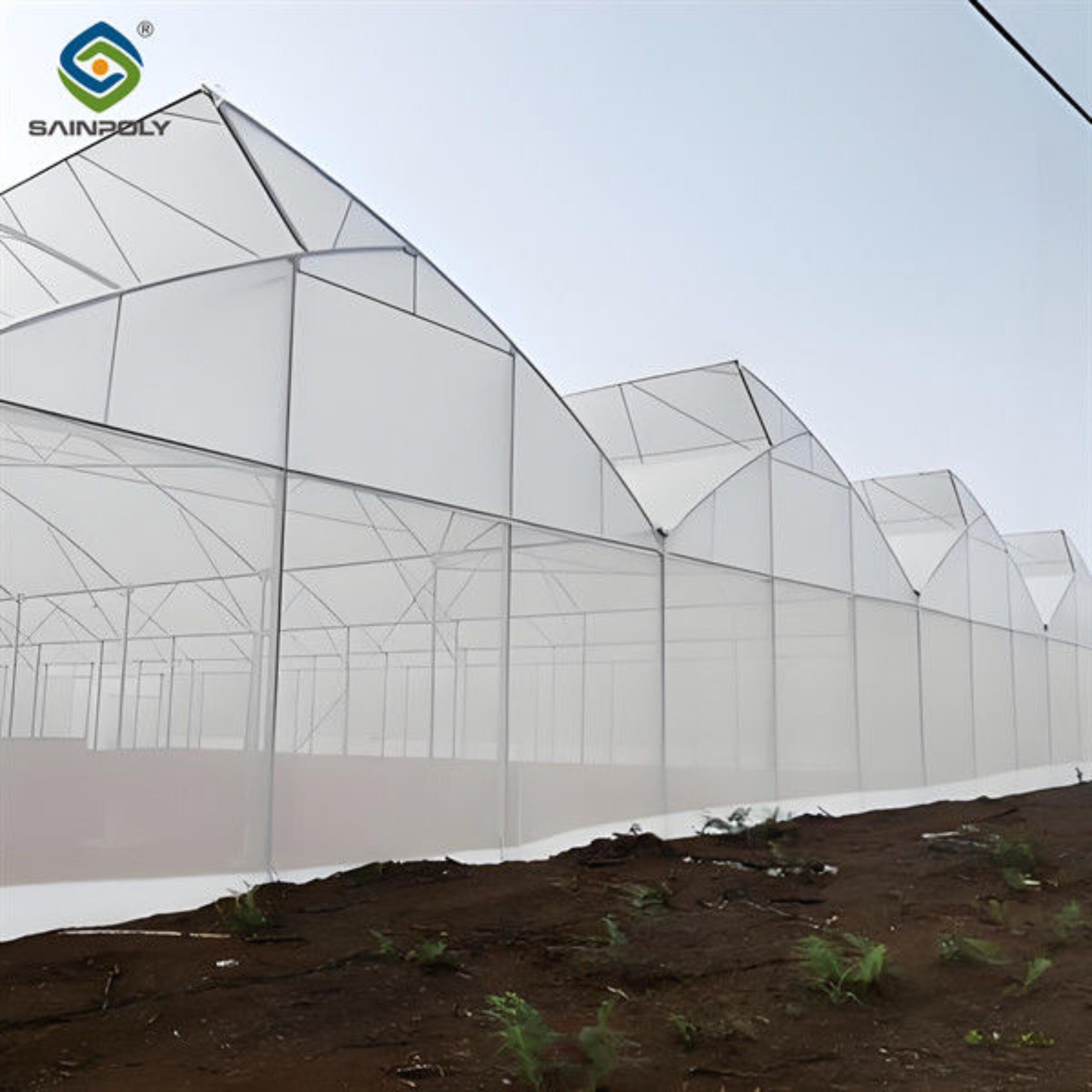 Indoor Multi Span Plastic Film Gothic Arch Greenhouse With PC Sheet