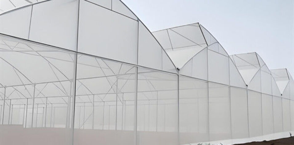Indoor Multi Span Plastic Film Gothic Arch Greenhouse With PC Sheet