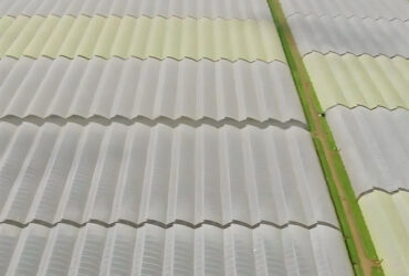 Indoor Multi Span Plastic Film Gothic Arch Greenhouse With PC Sheet