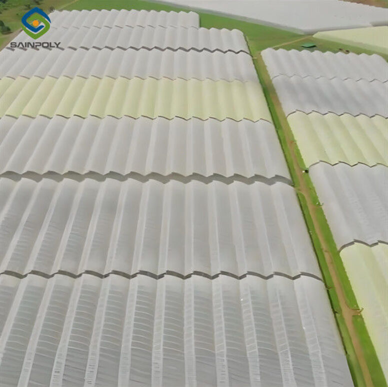 Indoor Multi Span Plastic Film Gothic Arch Greenhouse With PC Sheet