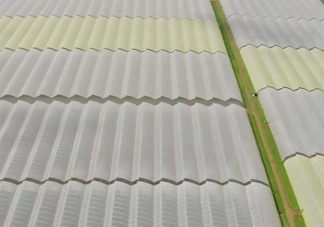 Indoor Multi Span Plastic Film Gothic Arch Greenhouse With PC Sheet