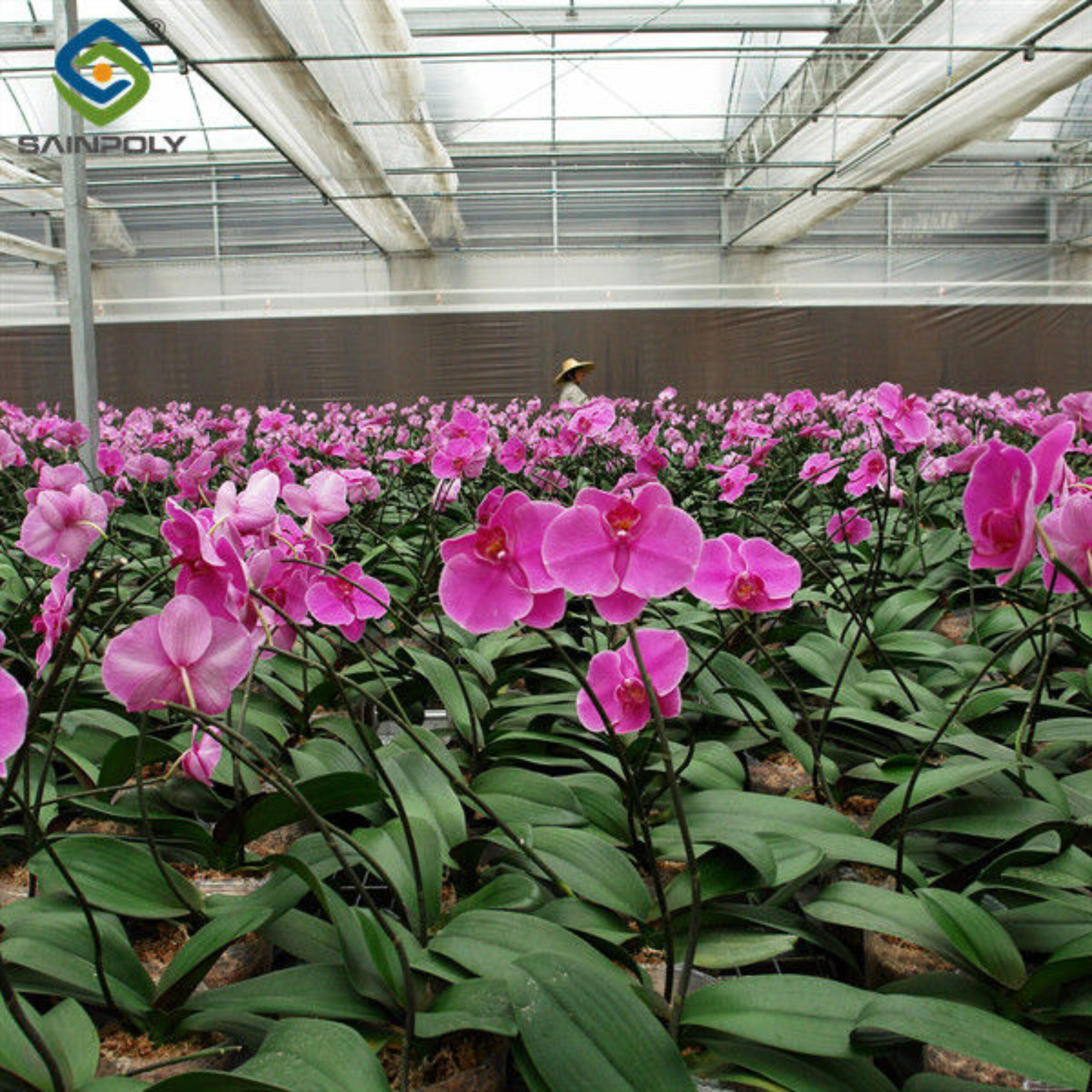 Indoor Outdoor Use Floral Greenhouse Commercial Green Houses Weather Proof
