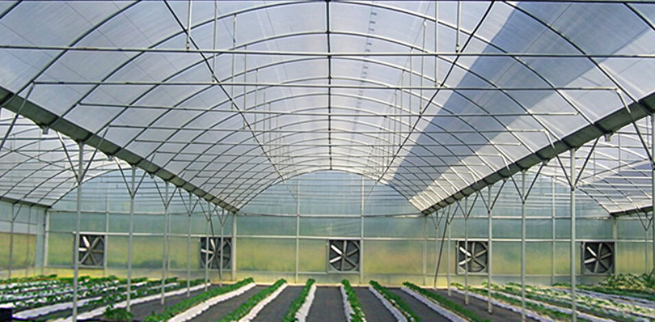 Intelligent Multi-Span Film Greenhouse for Commercial Crops
