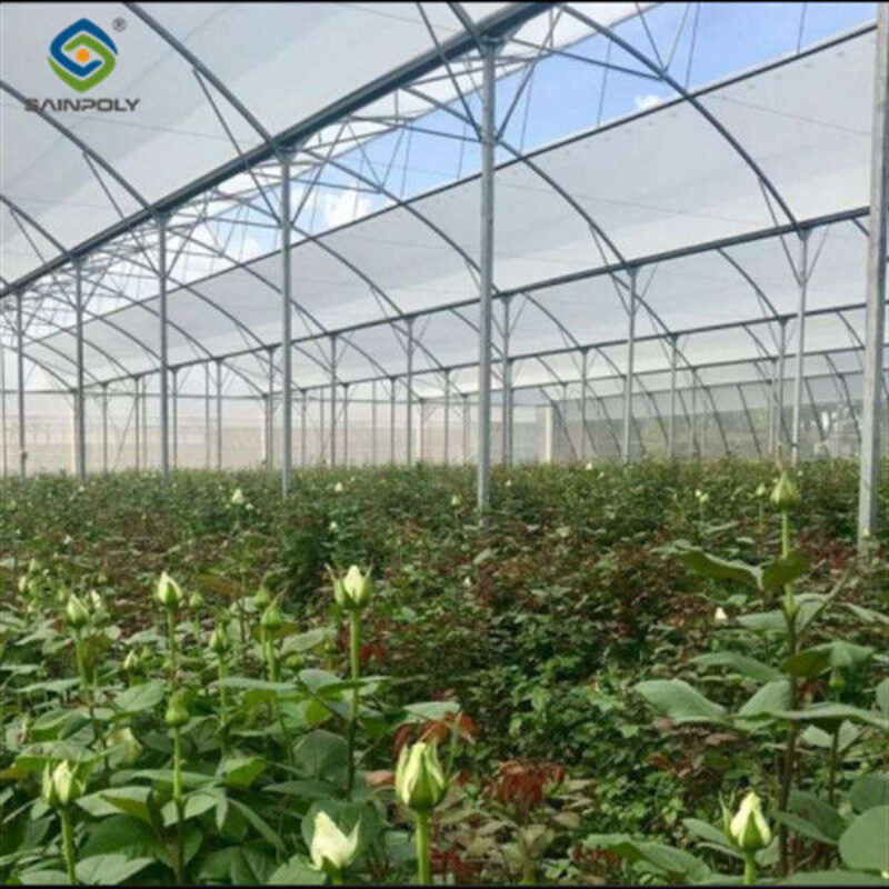 Intelligent Smart Agricultural Gothic Greenhouse Customization Size