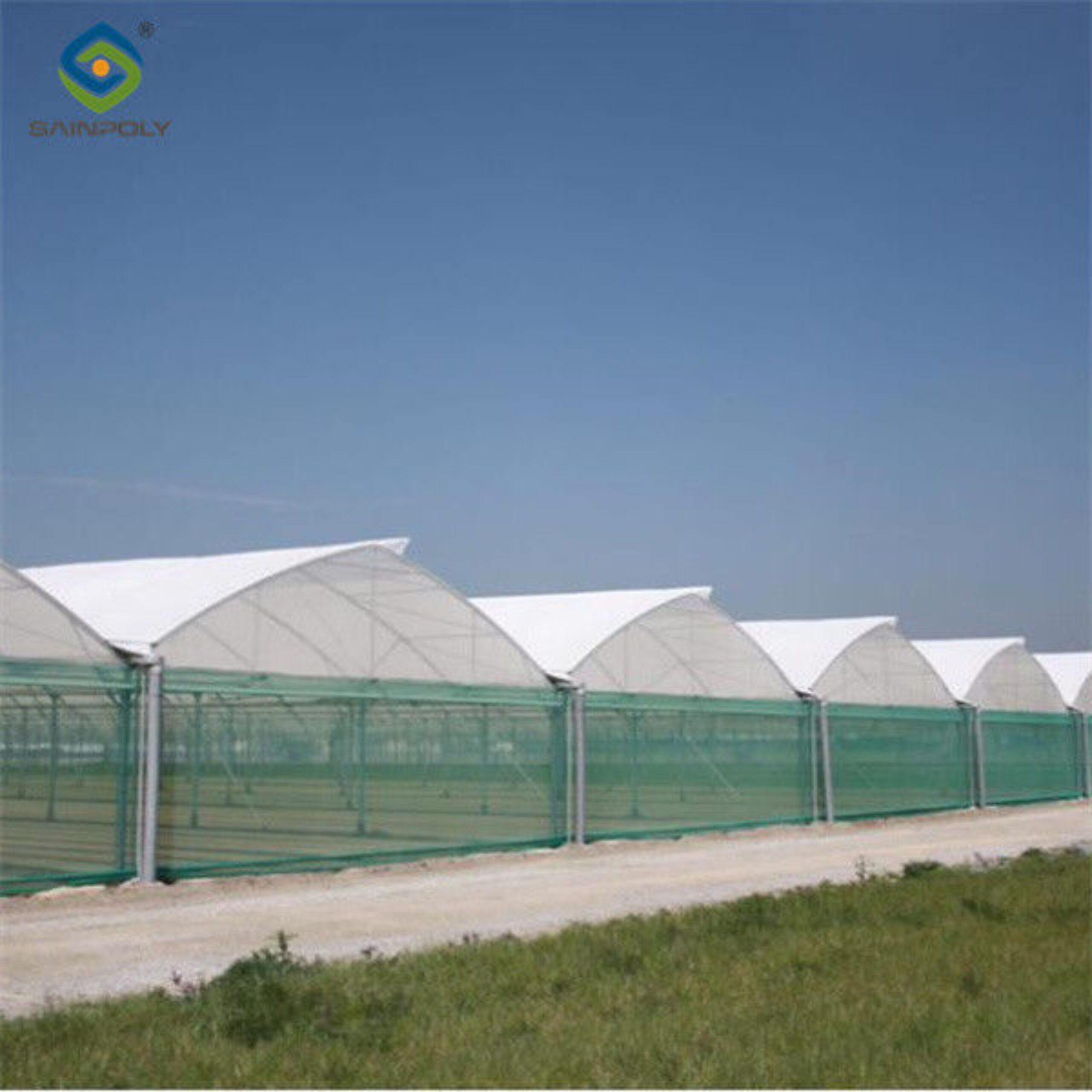 Intelligent Smart Agricultural Gothic Greenhouse Customization Size