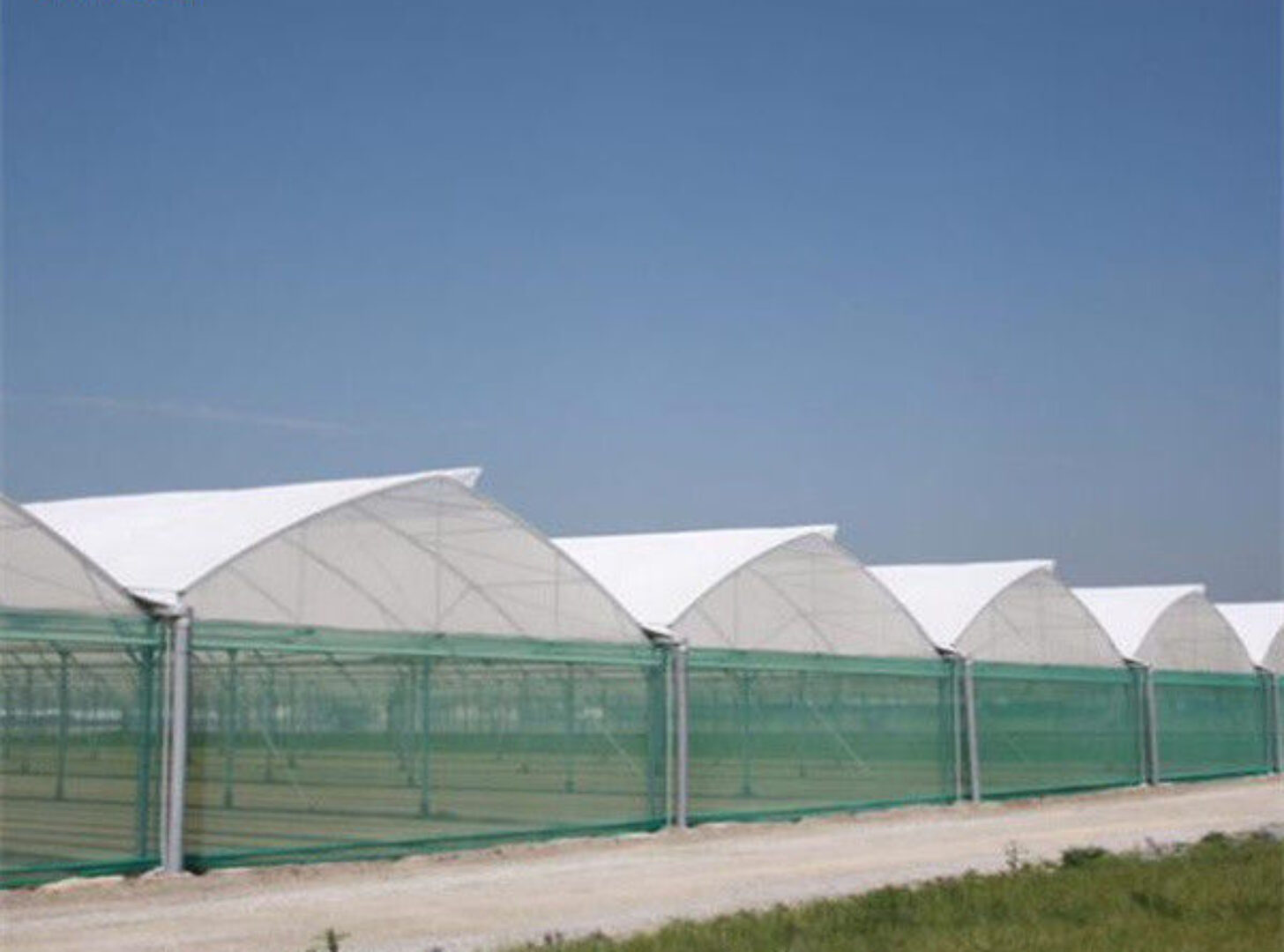 Intelligent Smart Agricultural Gothic Greenhouse Customization Size