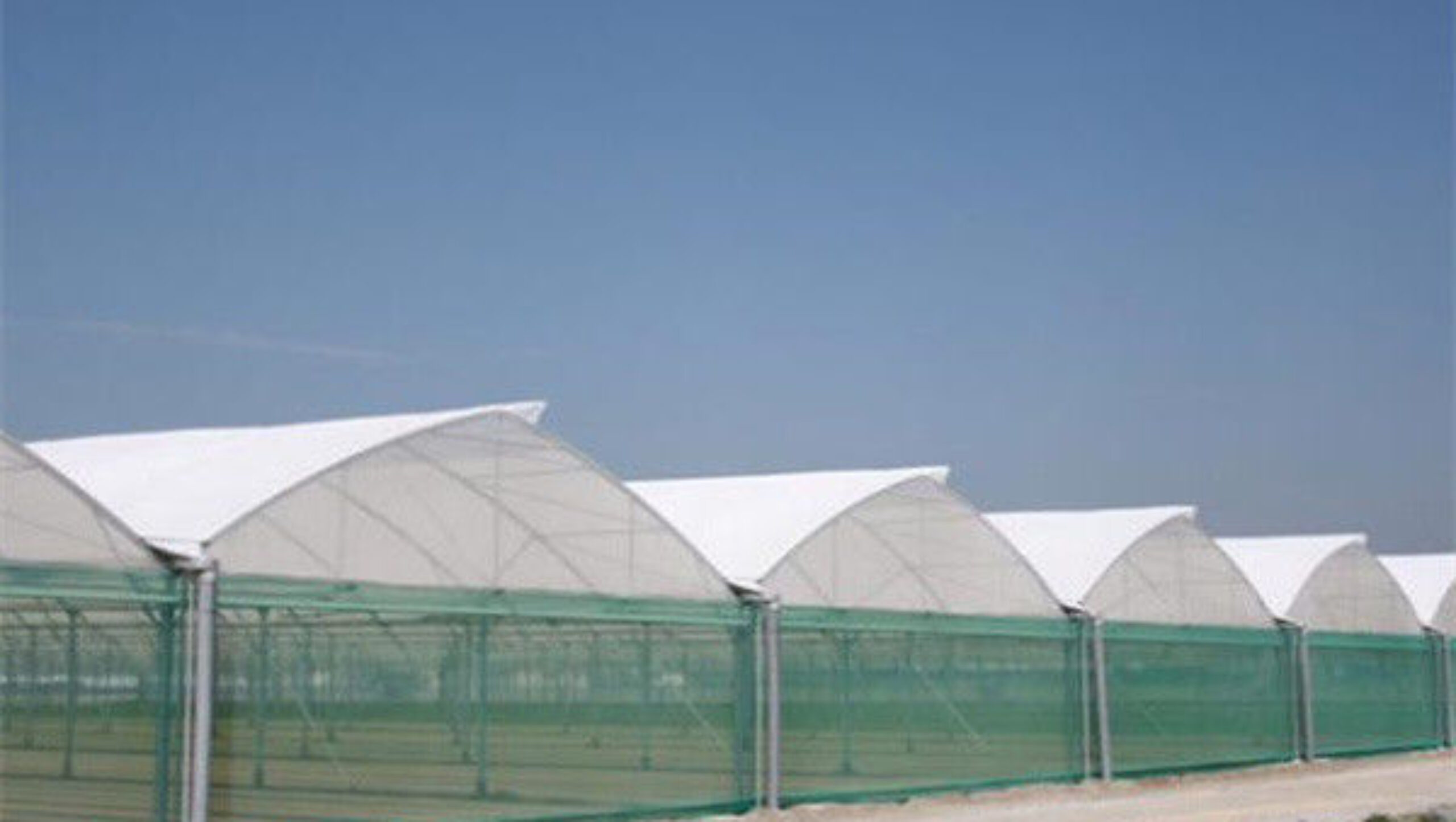 Intelligent Smart Agricultural Gothic Greenhouse Customization Size