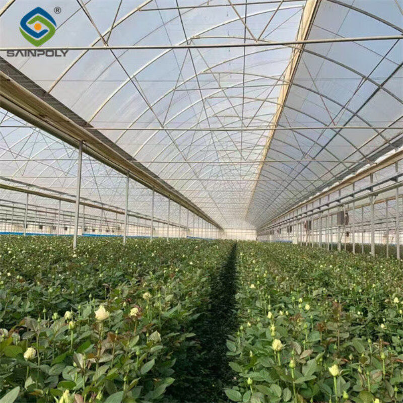 Intelligent Smart Flower Greenhouses With Hydroponic System Rolling Bench Planting Bags