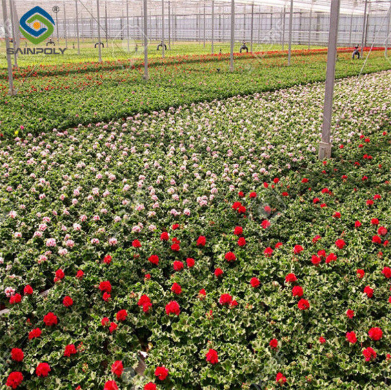 Intelligent Smart Flower Greenhouses With Hydroponic System Rolling Bench Planting Bags