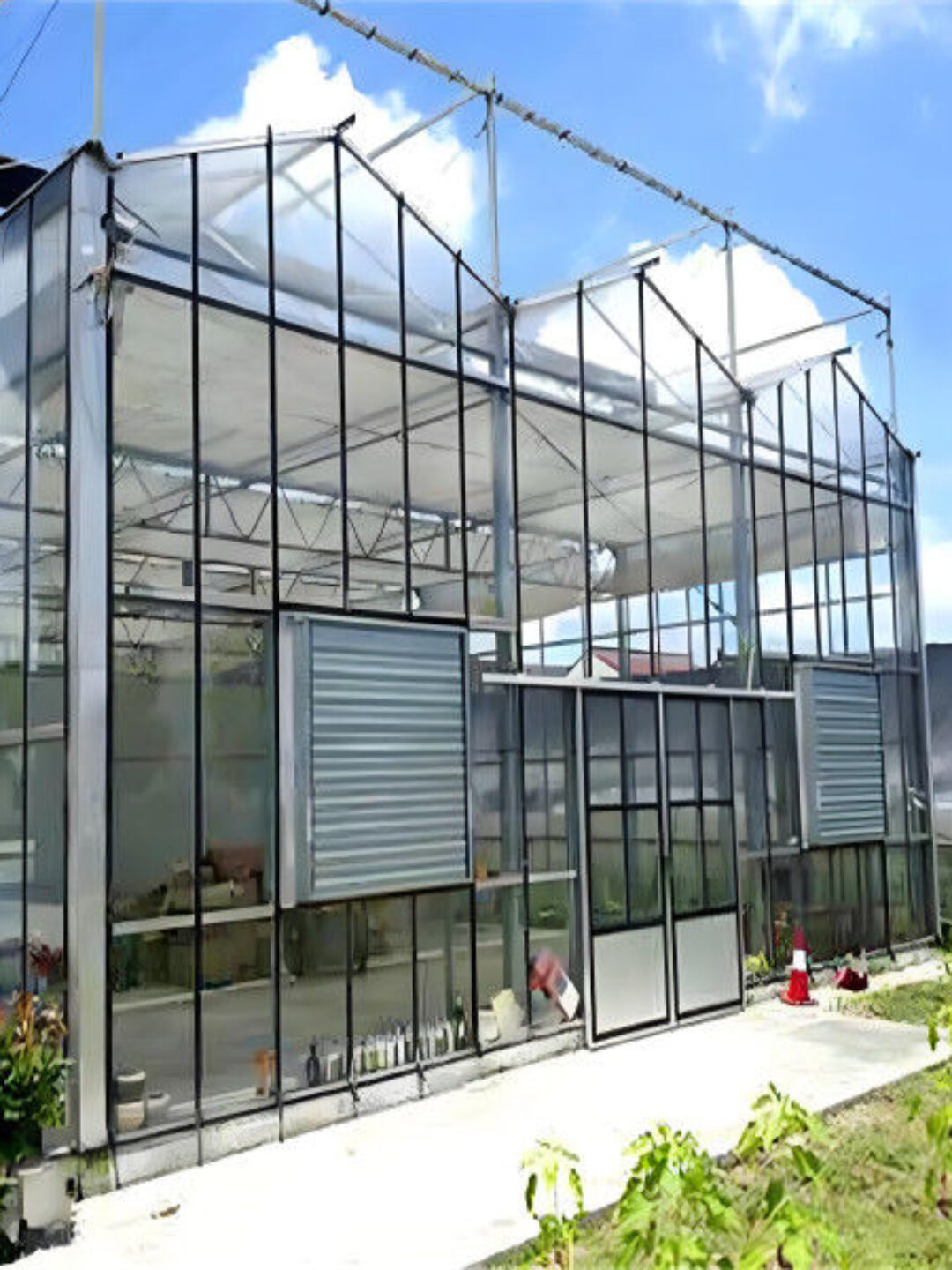 Intelligent Venlo Glass Greenhouse For Tomato Strawberry Growing Turnkey Project