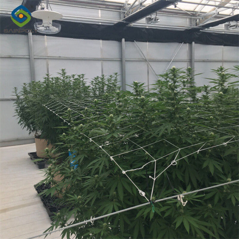 Interior Light Dep Greenhouse With Block Sunshine Systems