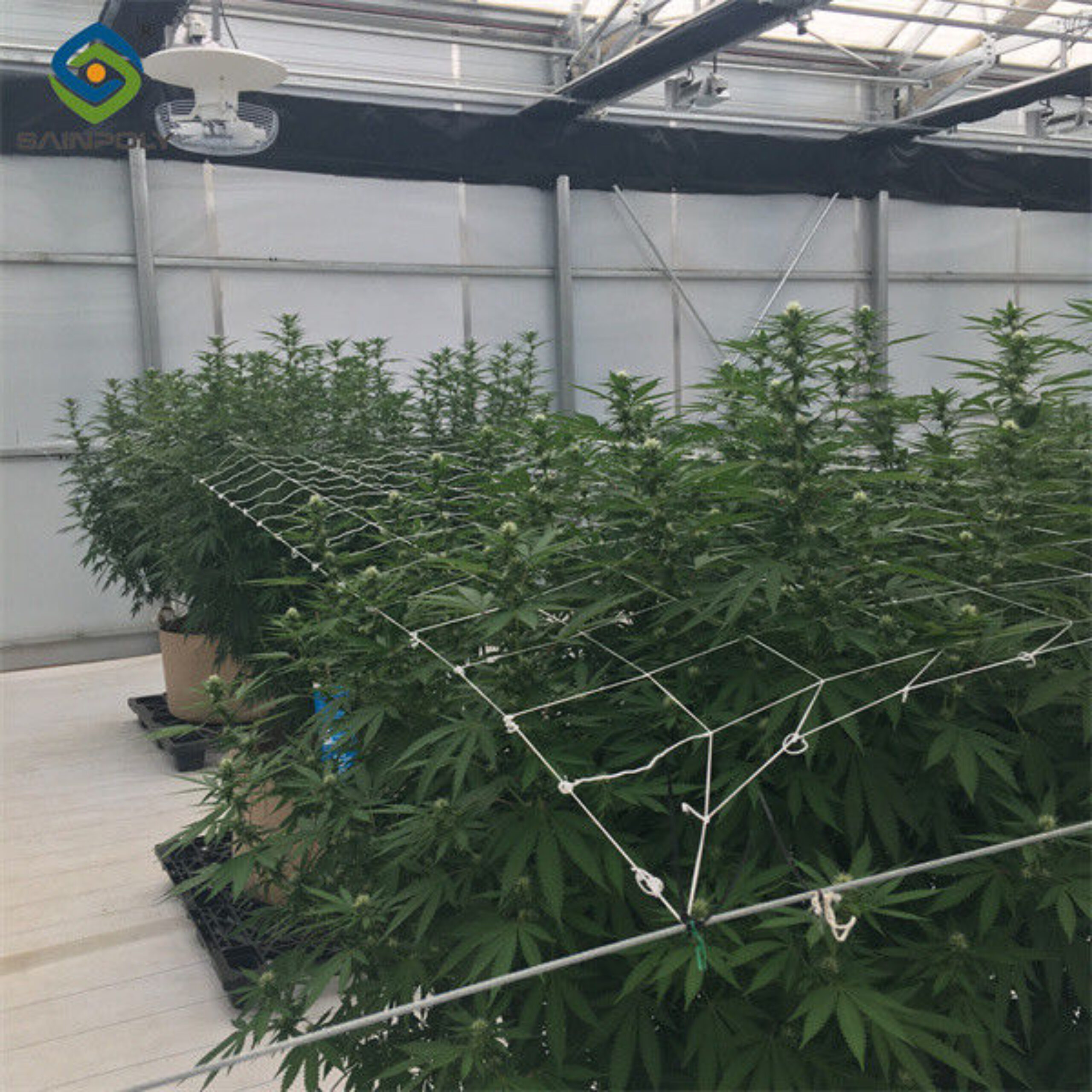Interior Light Dep Greenhouse With Block Sunshine Systems