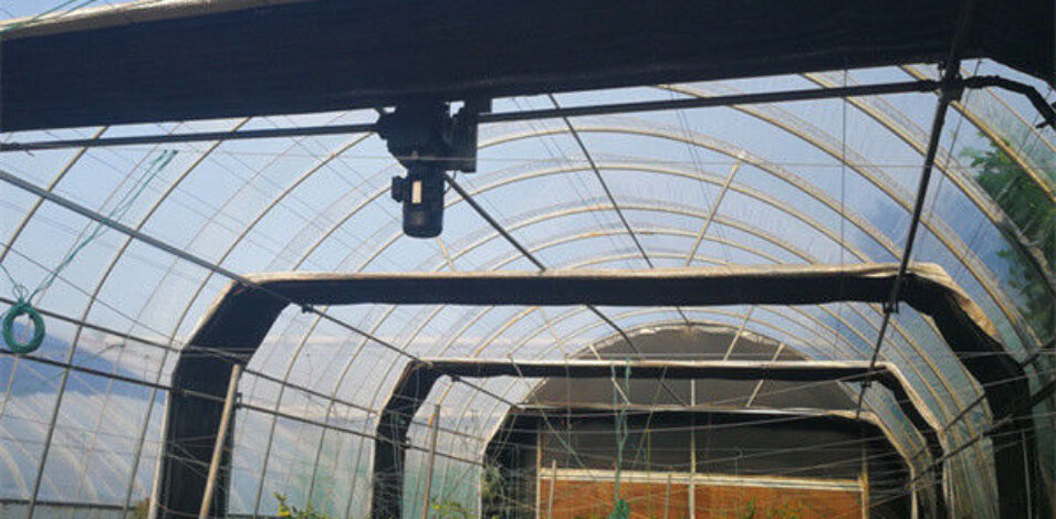 Interior Light Dep Greenhouse With Block Sunshine Systems
