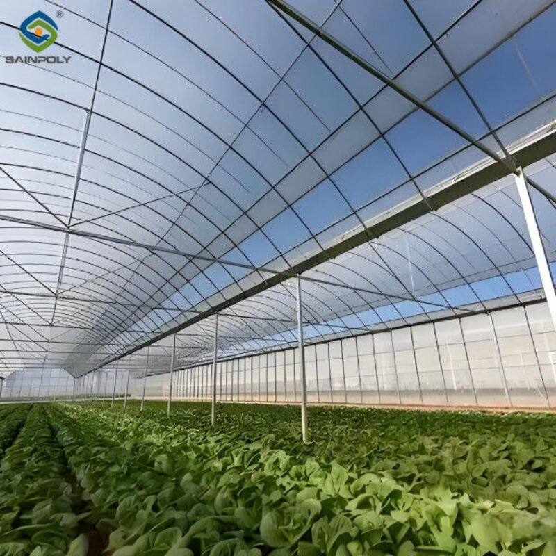 Large Commercial Greenhouse With Hydroponic Growing System