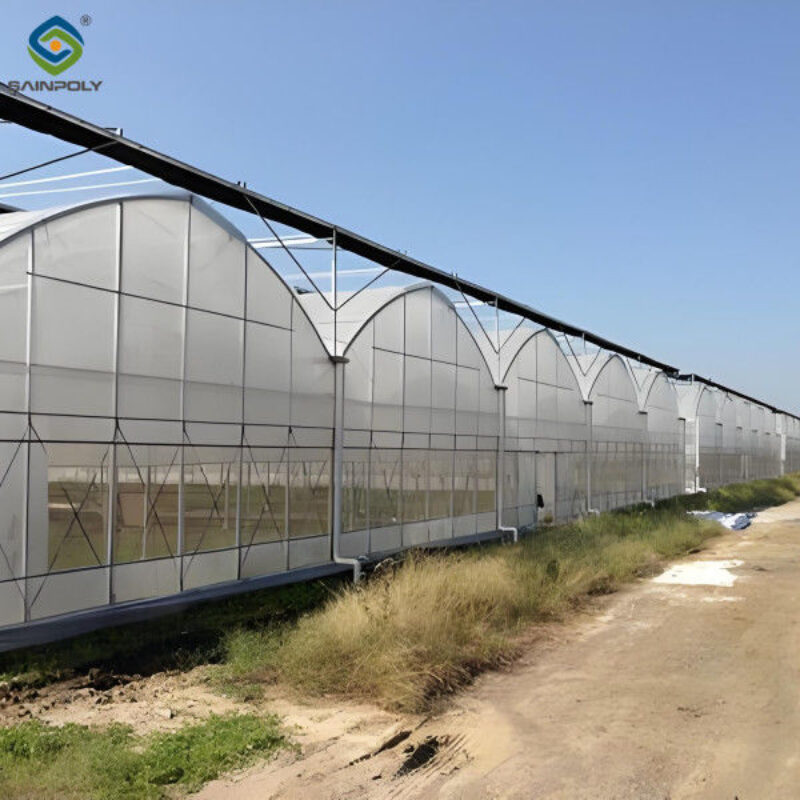 Large Commercial Greenhouse With Hydroponic Growing System