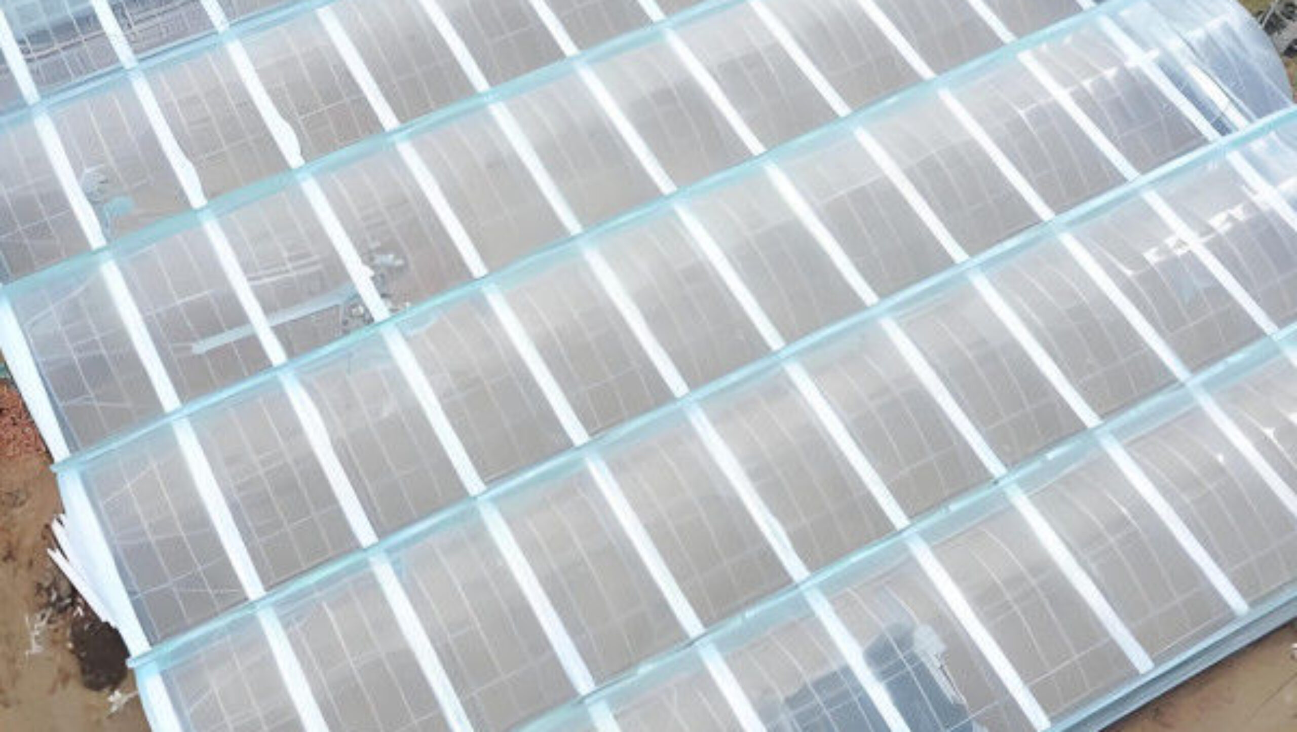 Large Commercial Greenhouse With Hydroponic Growing System