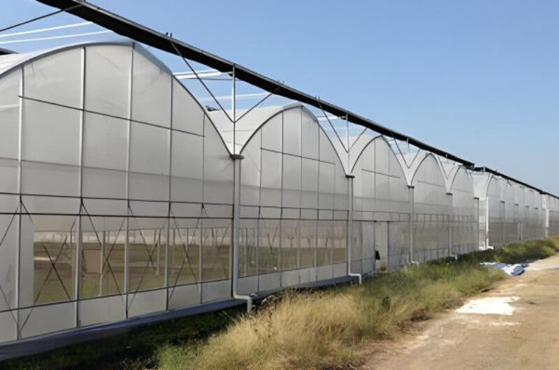 Large Commercial Greenhouse With Hydroponic Growing System