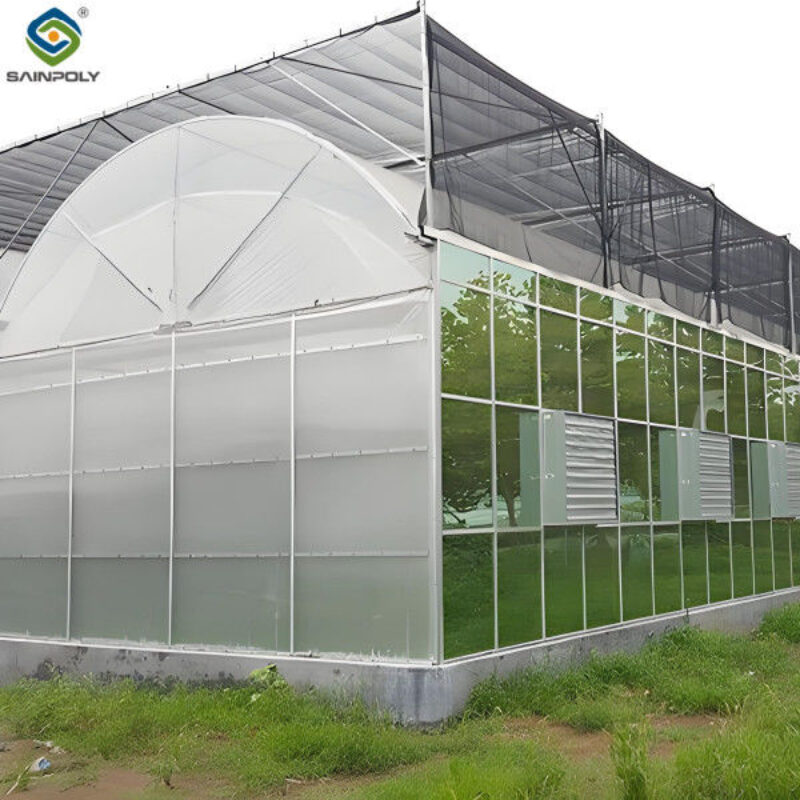 Large Multi Span Hydroponic PC Sheet Greenhouse Snow Resistance Sturdy Structure
