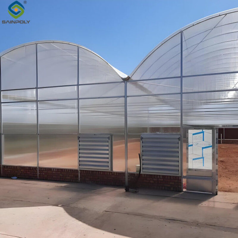 Large Multi Span Hydroponic PC Sheet Greenhouse Snow Resistance Sturdy Structure
