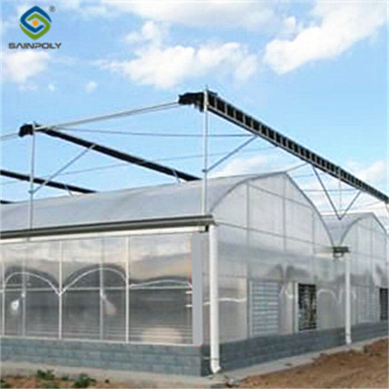 Large Multi Span Hydroponic PC Sheet Greenhouse Snow Resistance Sturdy Structure