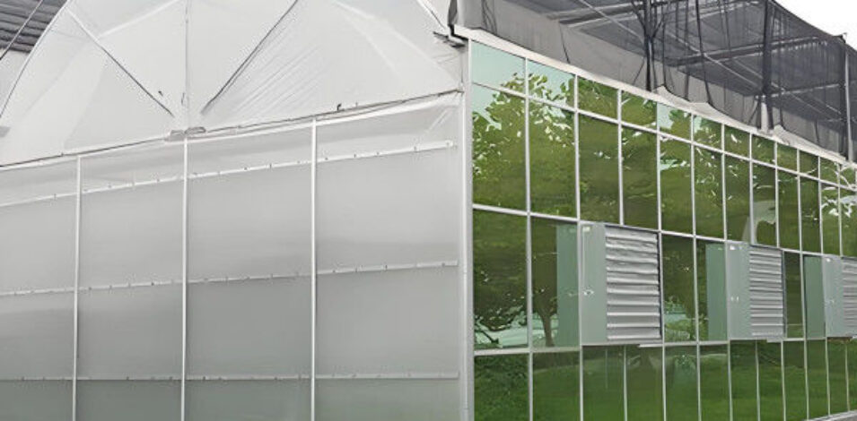 Large Multi Span Hydroponic PC Sheet Greenhouse Snow Resistance Sturdy Structure