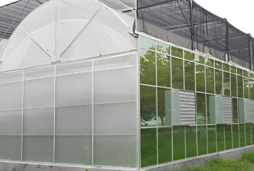 Large Multi Span Hydroponic PC Sheet Greenhouse Snow Resistance Sturdy Structure