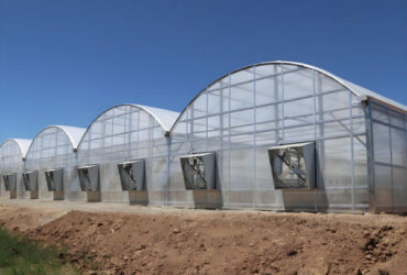 Large Multi Span Hydroponic PC Sheet Greenhouse Snow Resistance Sturdy Structure