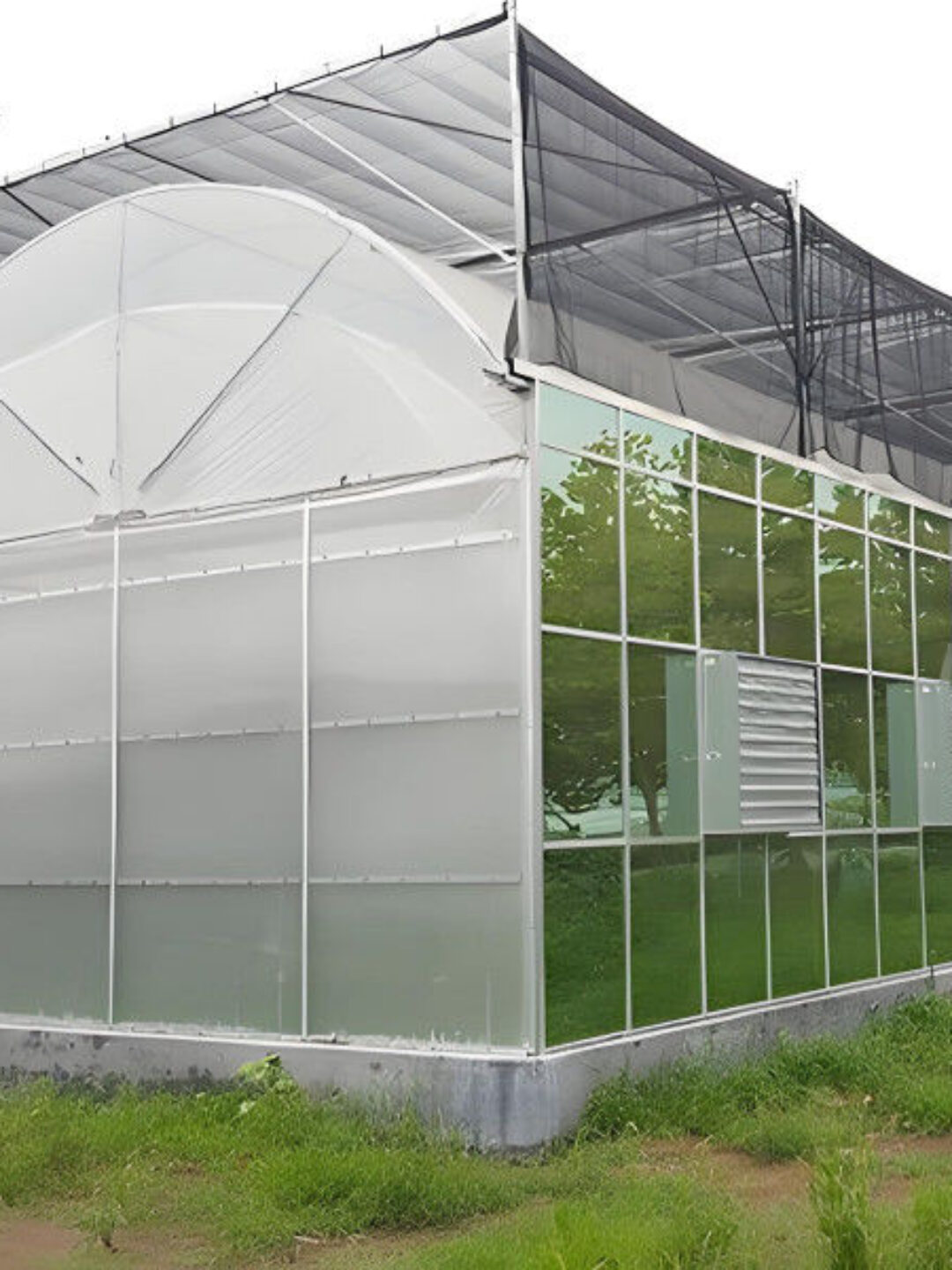 Large Multi Span Hydroponic PC Sheet Greenhouse Snow Resistance Sturdy Structure