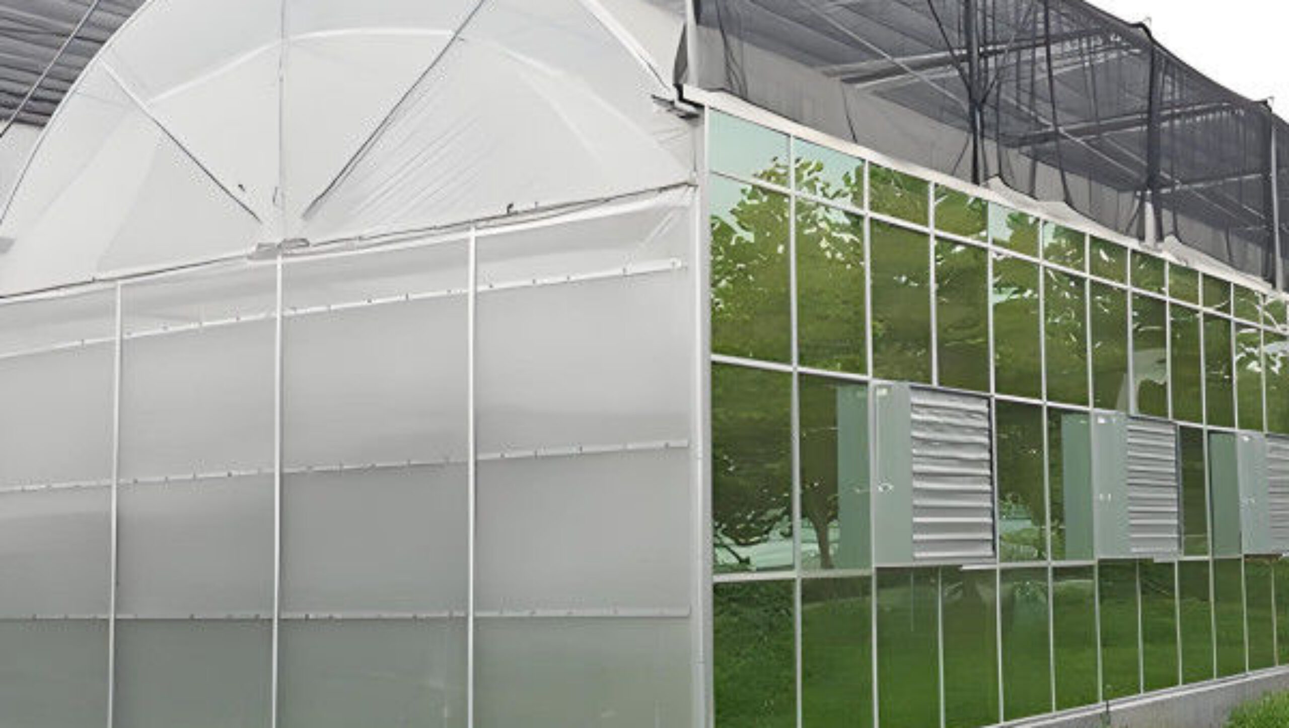 Large Multi Span Hydroponic PC Sheet Greenhouse Snow Resistance Sturdy Structure