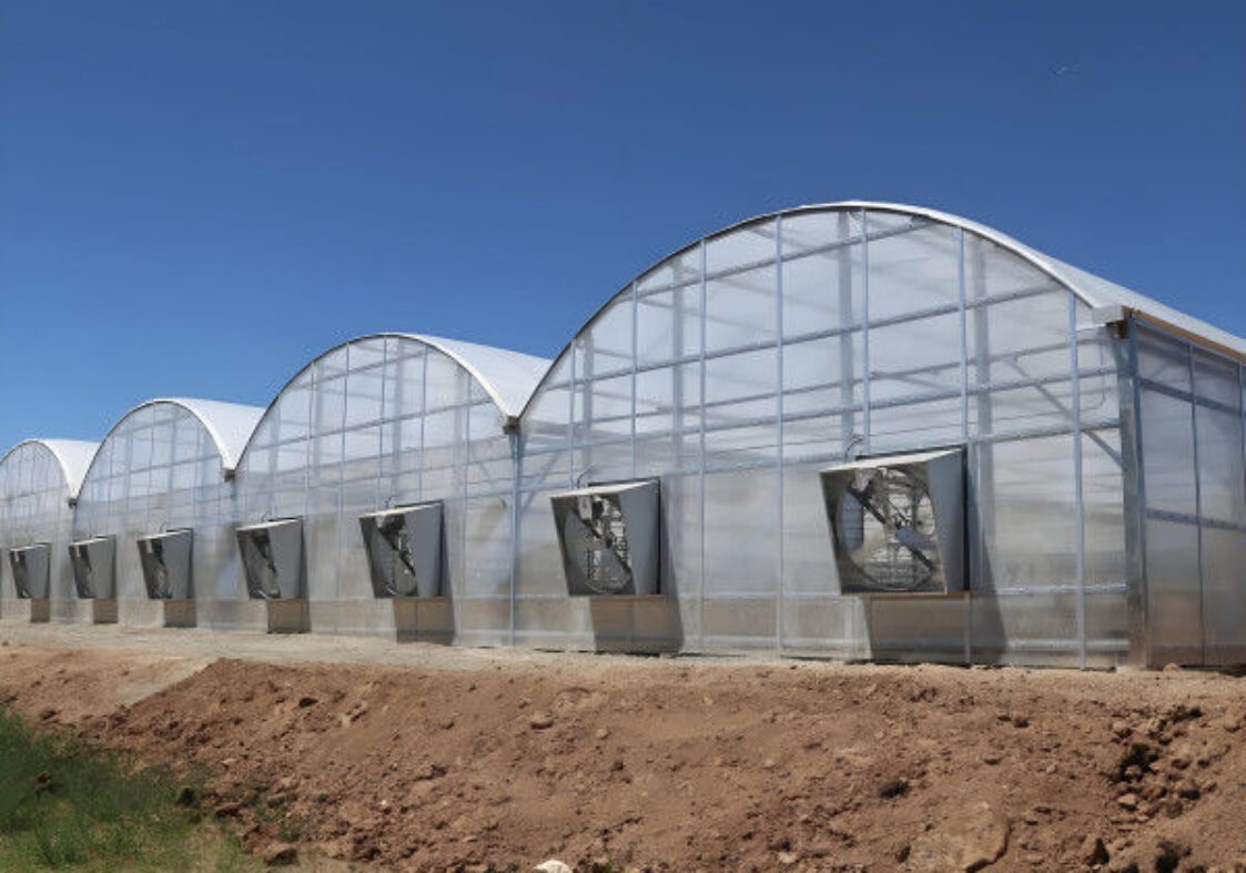 Large Multi Span Hydroponic PC Sheet Greenhouse Snow Resistance Sturdy Structure