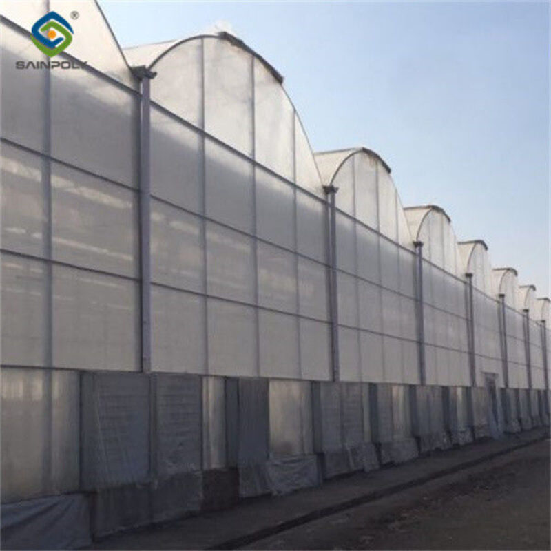 Large Plastic Covering Greenhouse Economical Solution For Agricultural