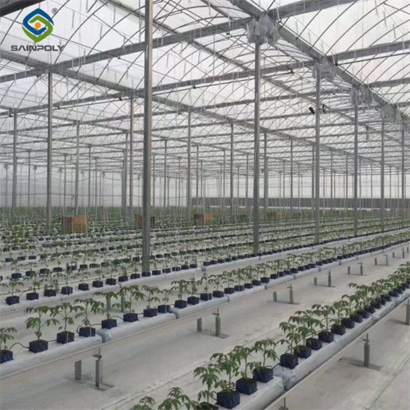Large Plastic Covering Greenhouse Economical Solution For Agricultural