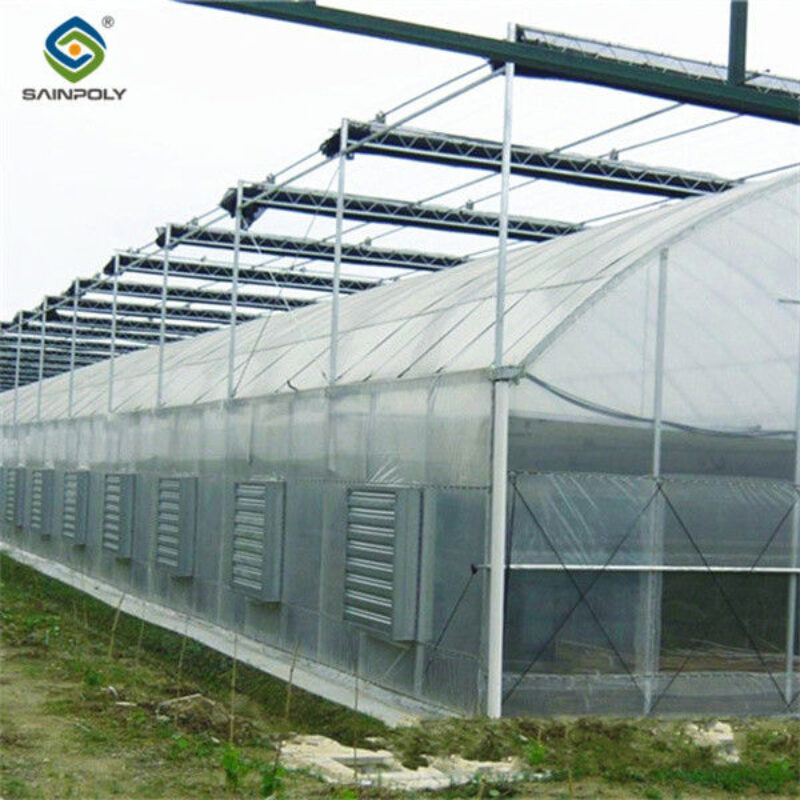 Large Plastic Covering Greenhouse Economical Solution For Agricultural
