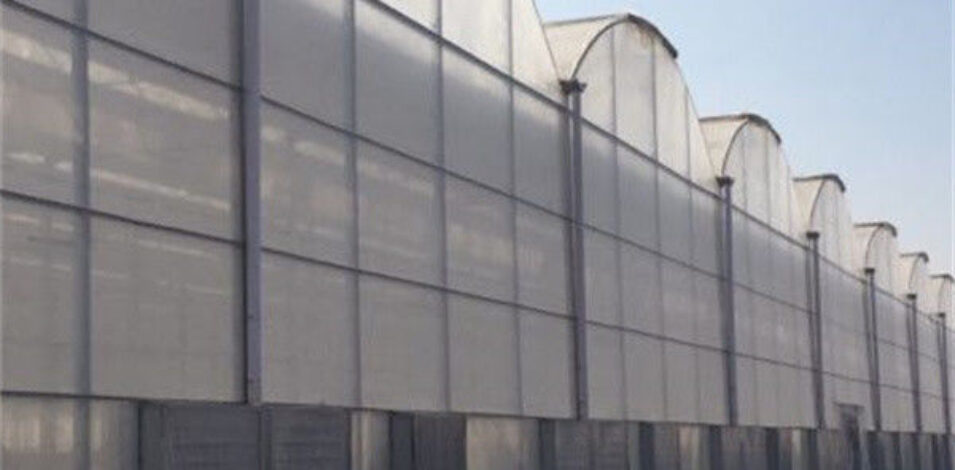 Large Plastic Covering Greenhouse Economical Solution For Agricultural