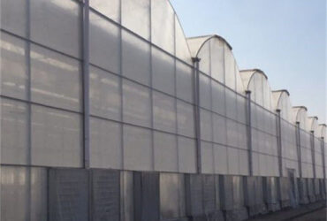 Large Plastic Covering Greenhouse Economical Solution For Agricultural