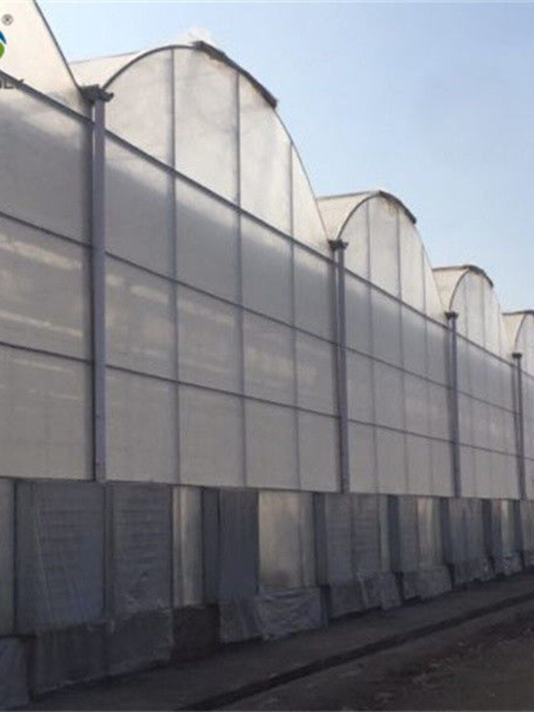 Large Plastic Covering Greenhouse Economical Solution For Agricultural
